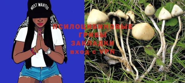 MESCALINE Богородицк