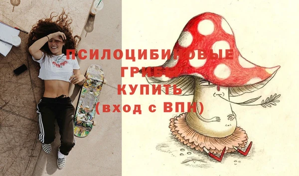 прущие крисы Богородск