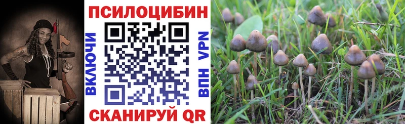 Псилоцибиновые грибы ЛСД  Купить где  Новозыбков 